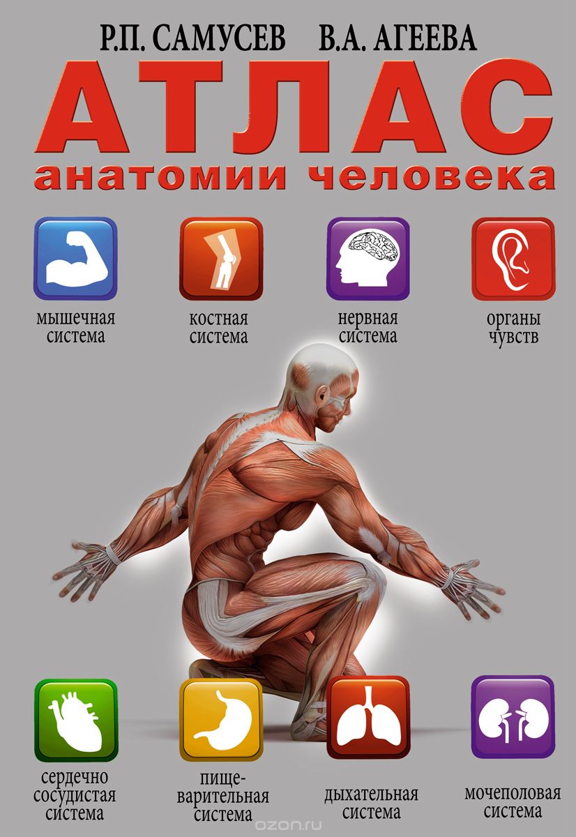Скачать книгу "Атлас анатомии человека, Р. П. Самусев, В. А. Агеева"