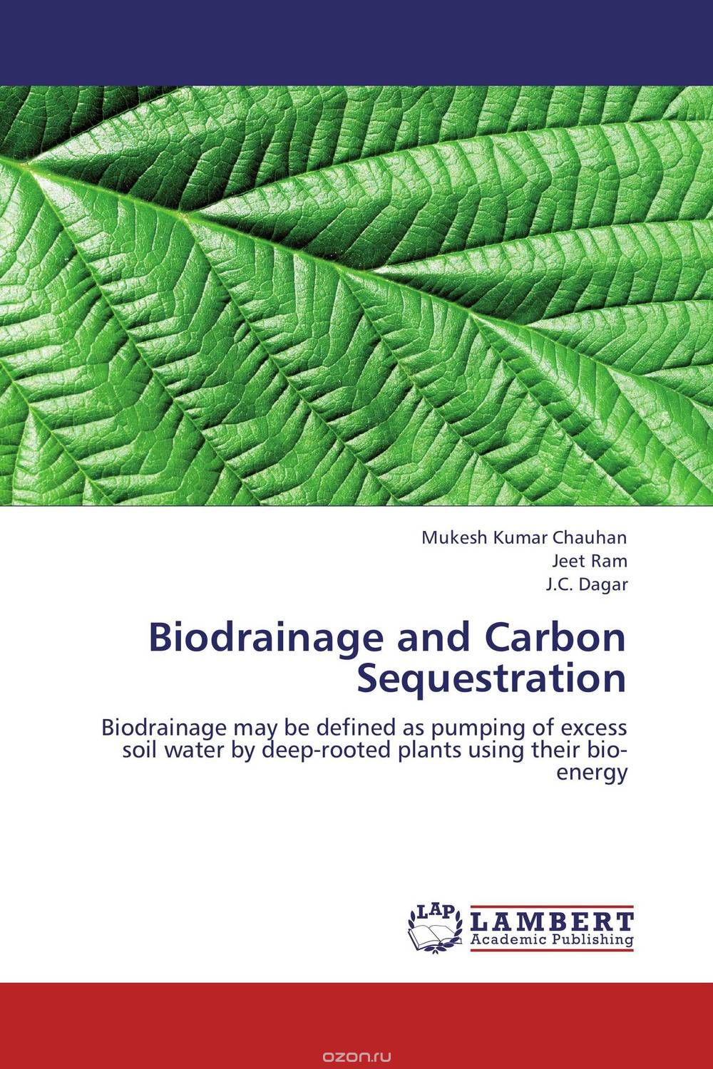 Biodrainage and Carbon Sequestration