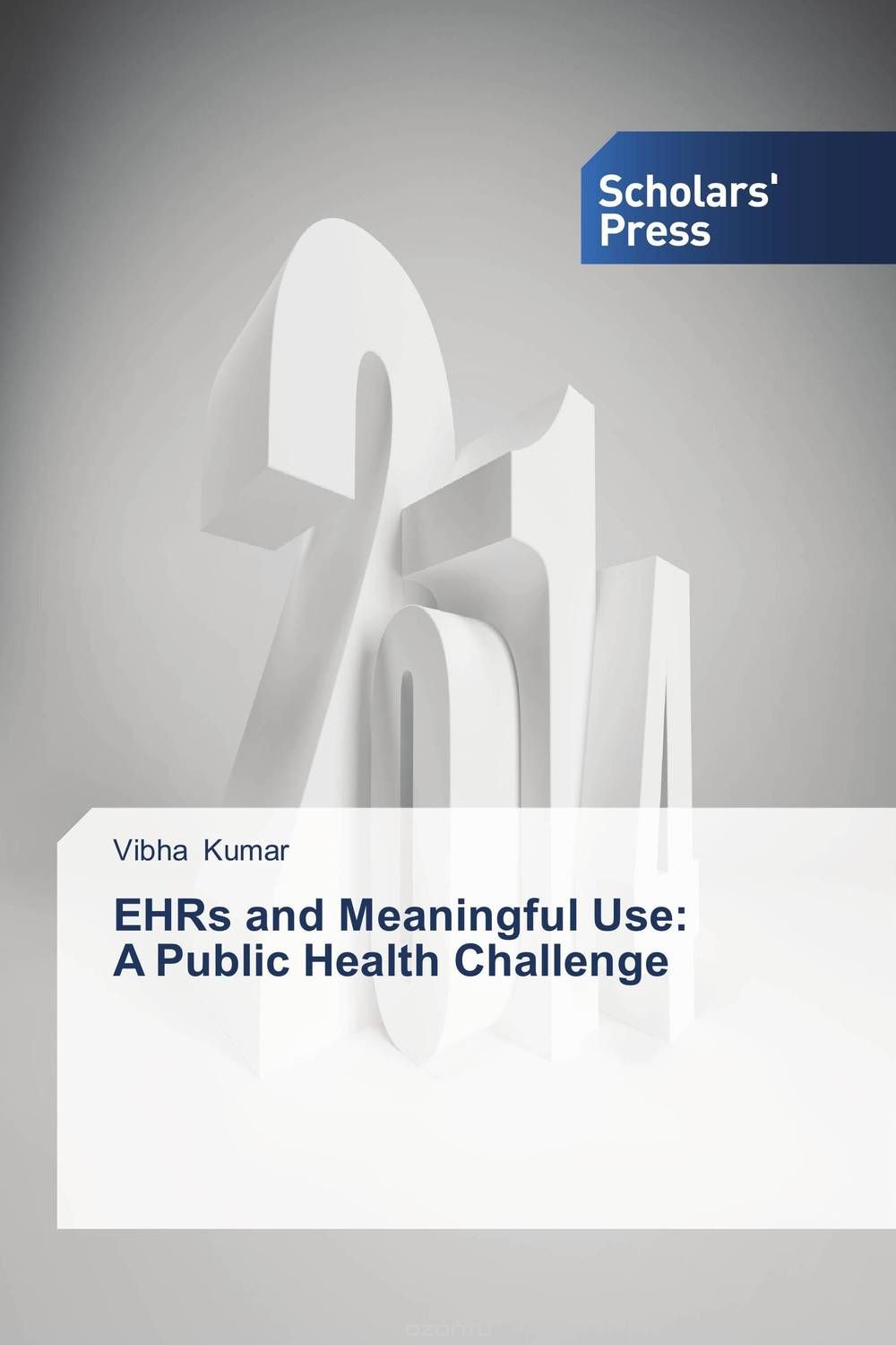 EHRs and Meaningful Use: A Public Health Challenge