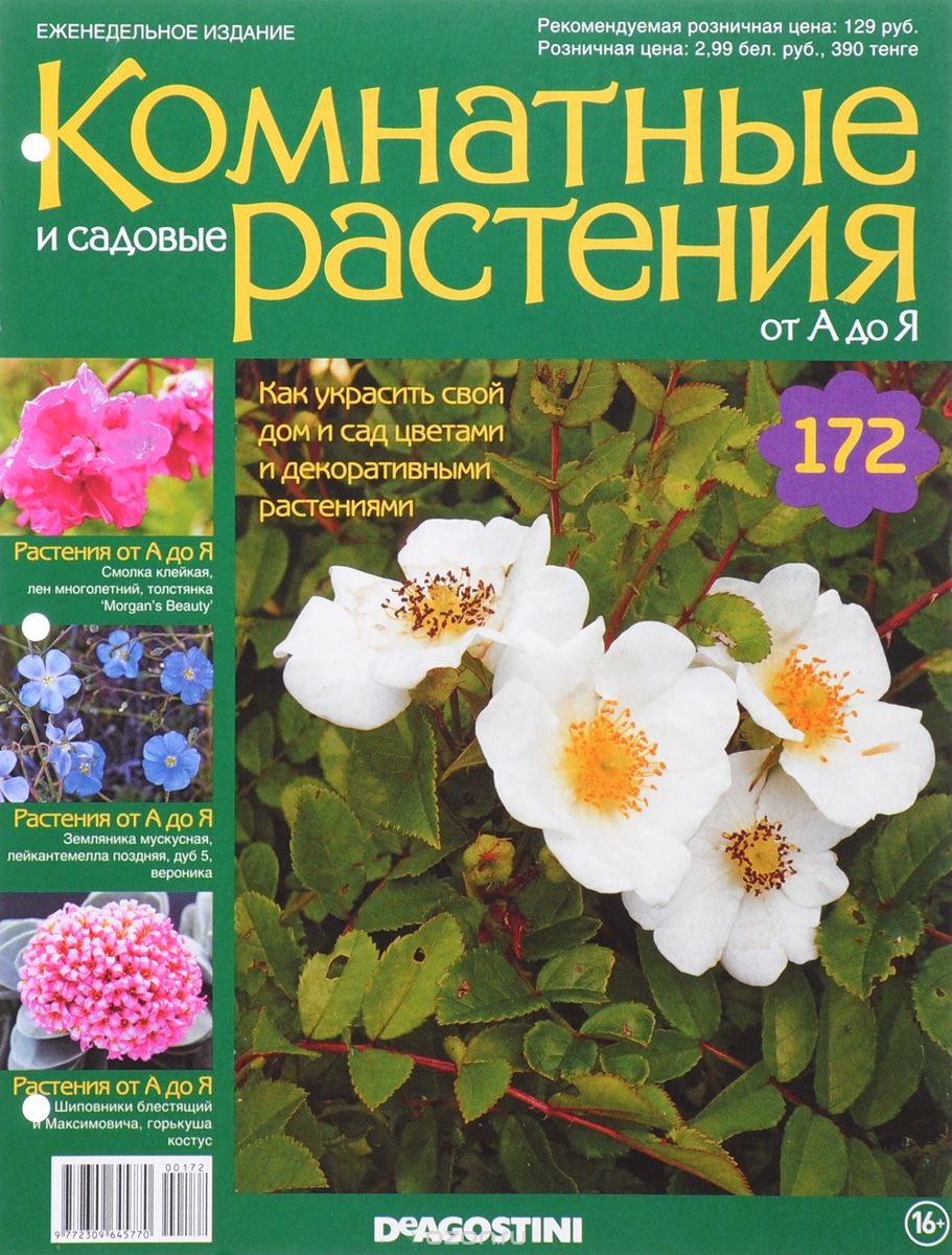 Журнал "Комнатные и садовые растения. От А до Я" №172