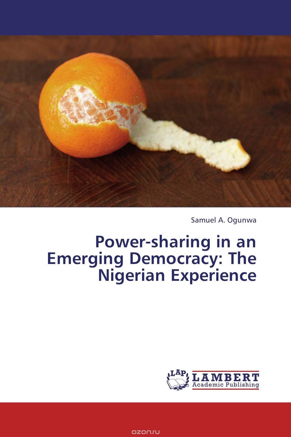 Power-sharing in an Emerging Democracy: The Nigerian Experience