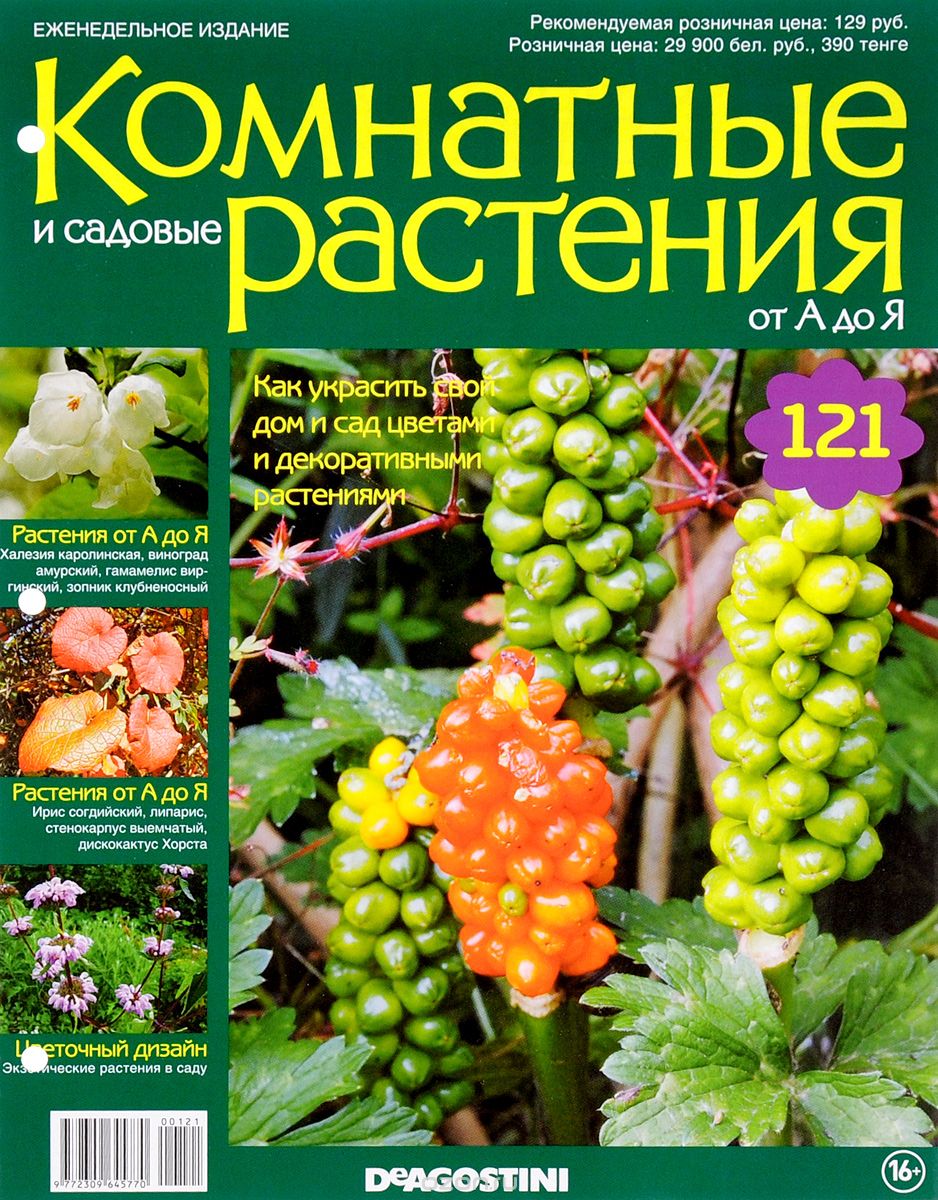 Журнал "Комнатные и садовые растения. От А до Я" №121