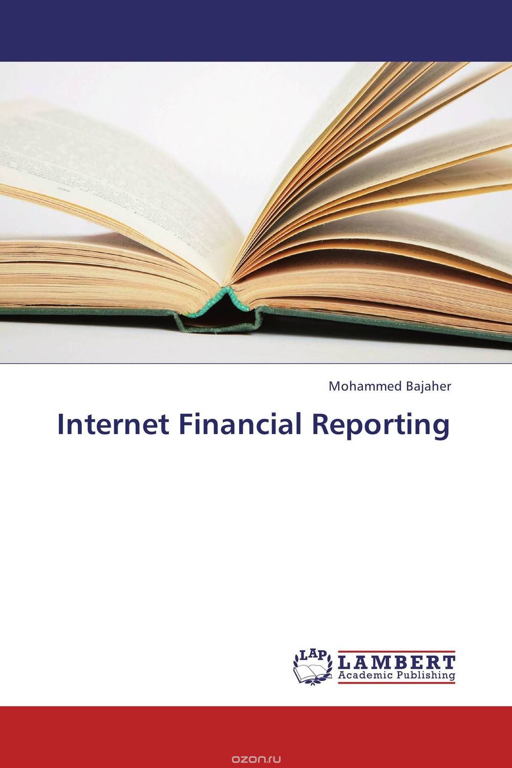 Internet Financial Reporting