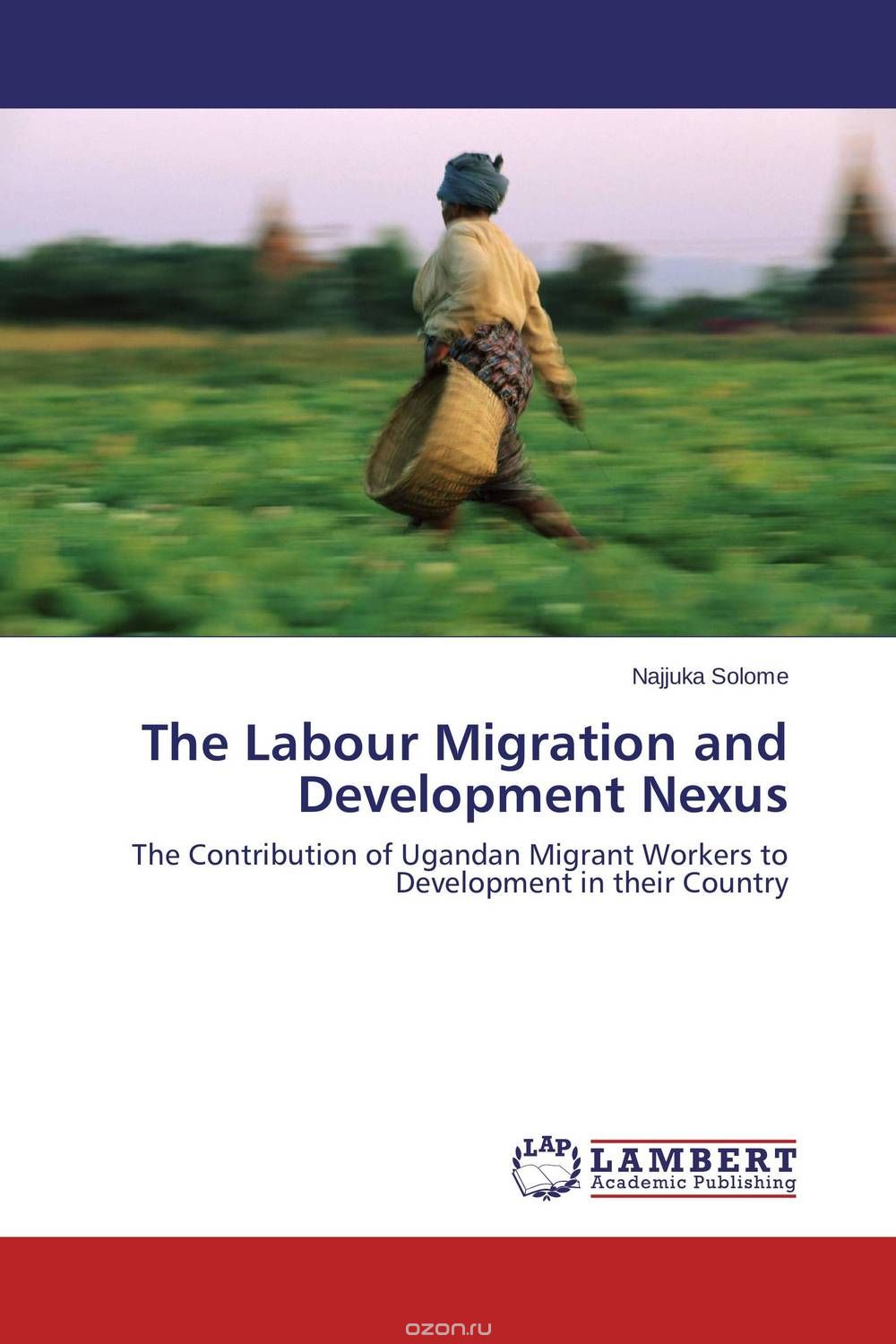 The Labour Migration and Development Nexus