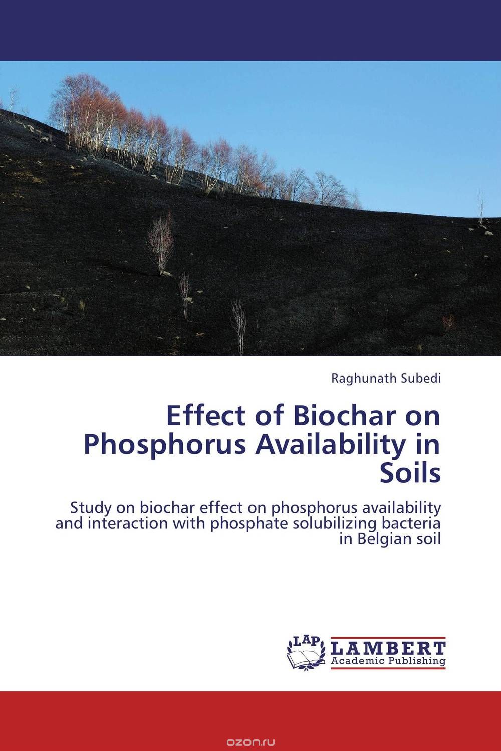 Скачать книгу "Effect of Biochar on Phosphorus Availability in Soils"