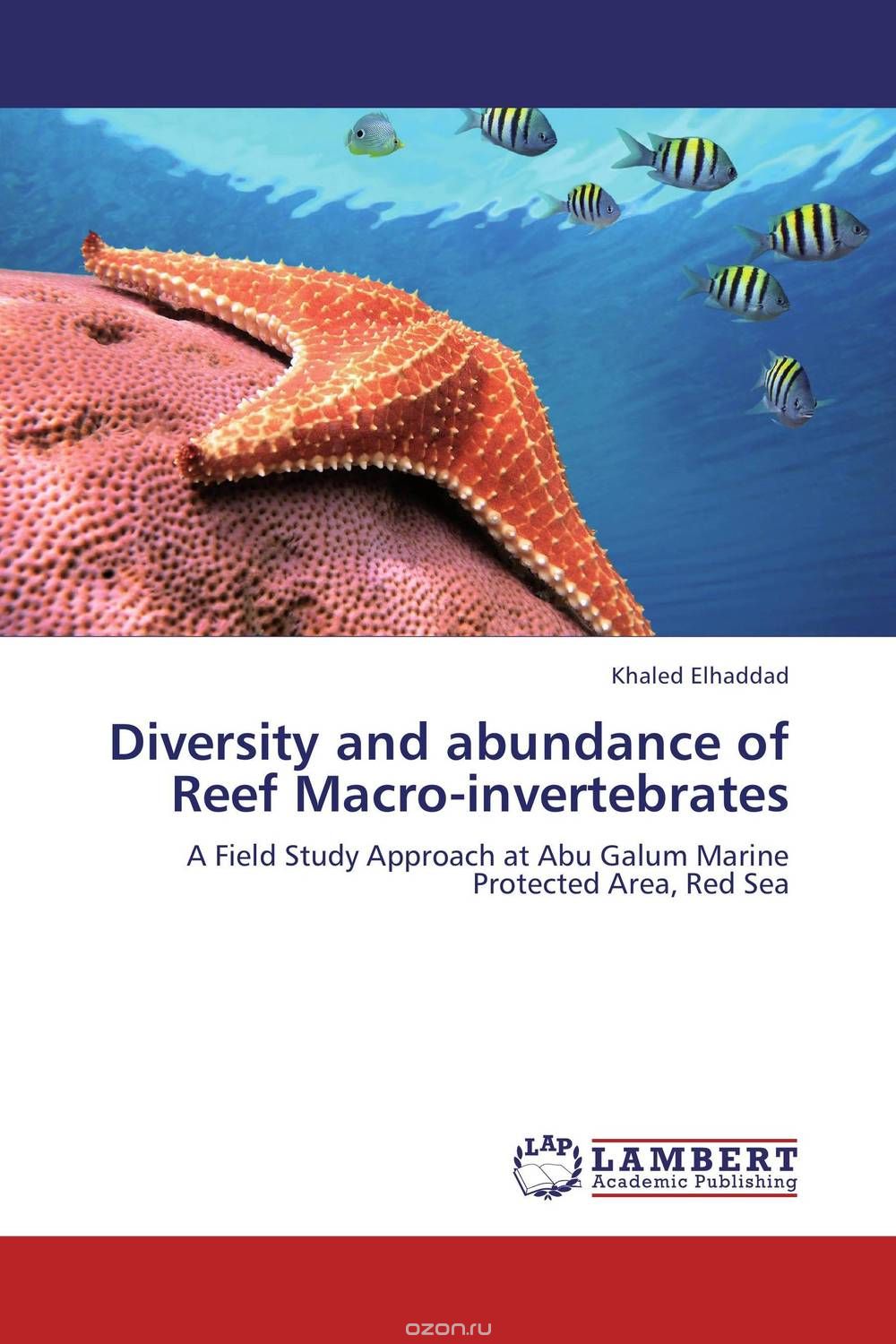 Diversity and abundance of Reef Macro-invertebrates