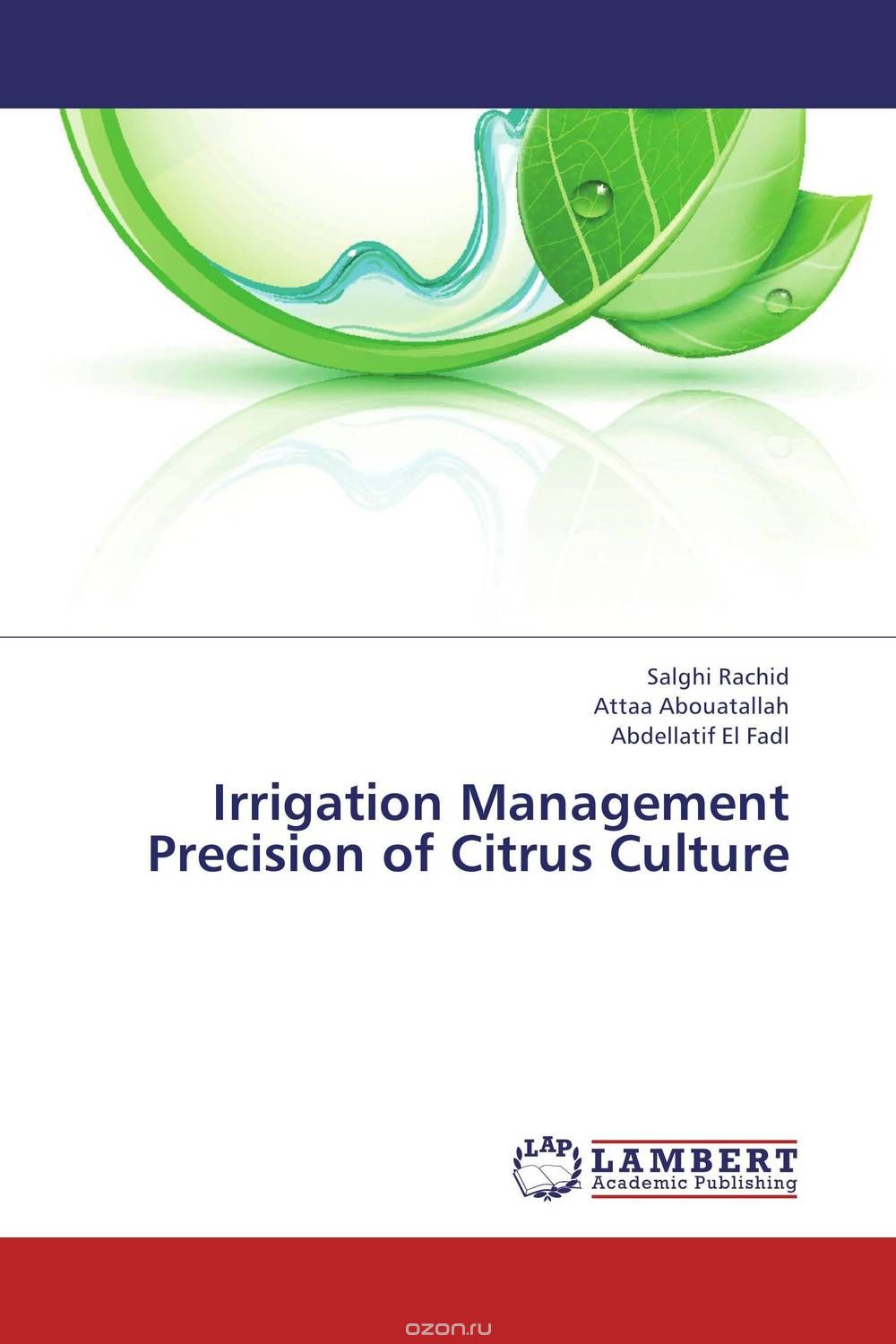 Скачать книгу "Irrigation Management Precision of Citrus Culture"