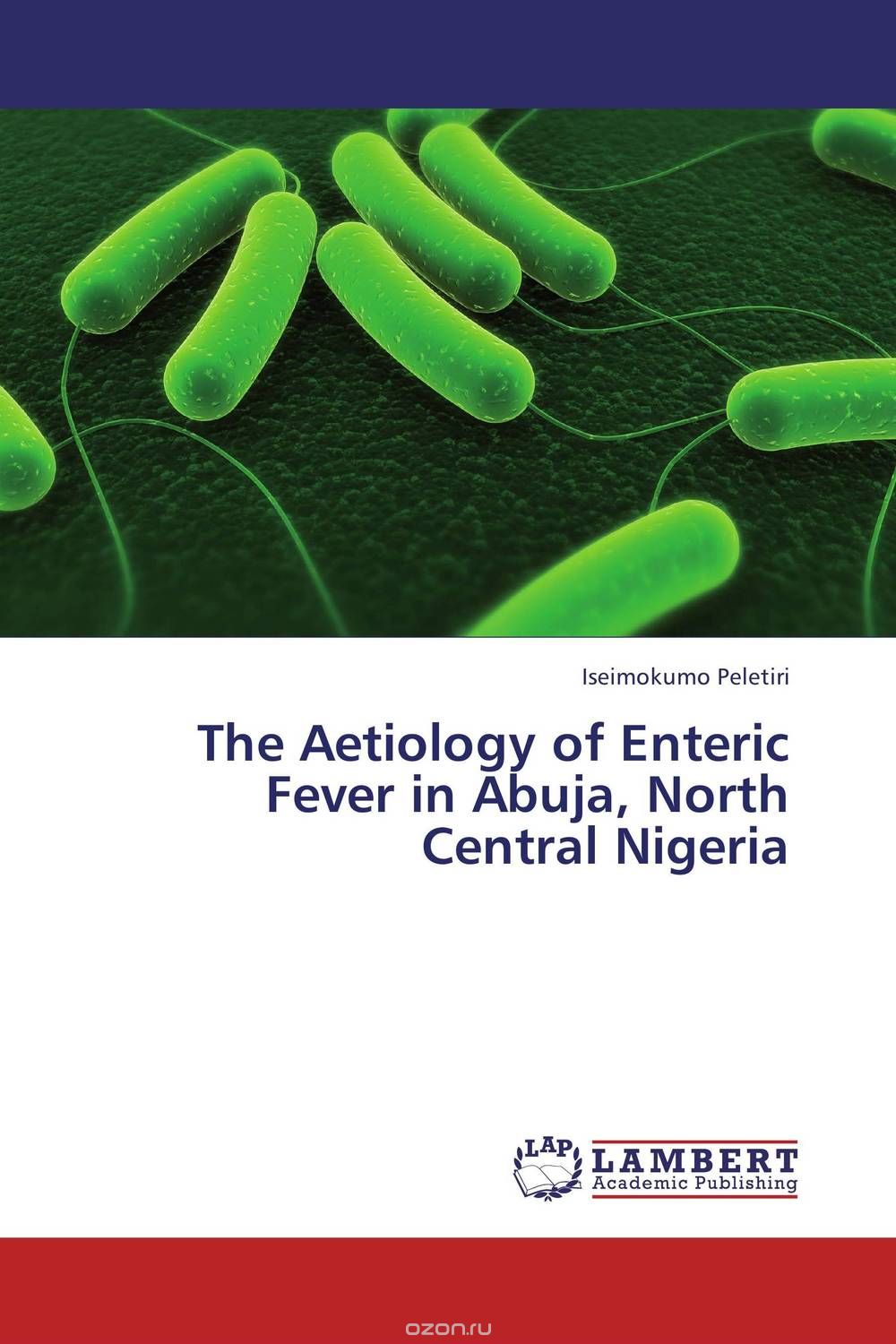 Скачать книгу "The Aetiology of Enteric Fever in Abuja, North Central Nigeria"