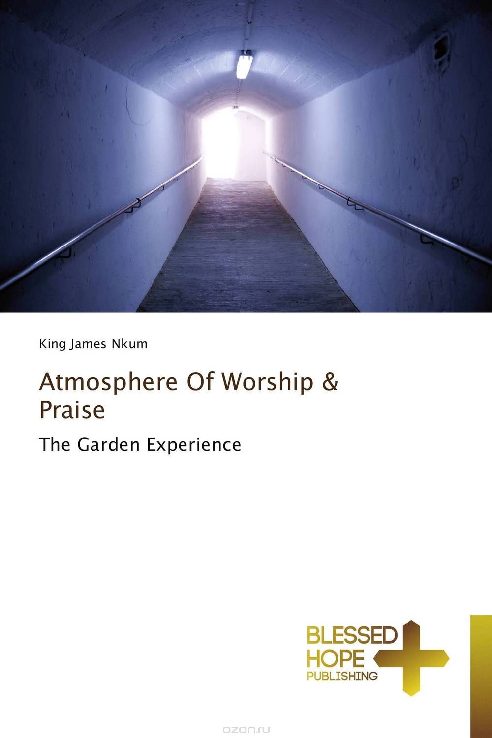 Скачать книгу "Atmosphere Of Worship & Praise"