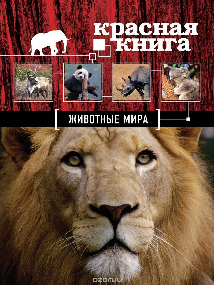 Красная книга. Животные мира, Оксана Скалдина, Евгений Слиж