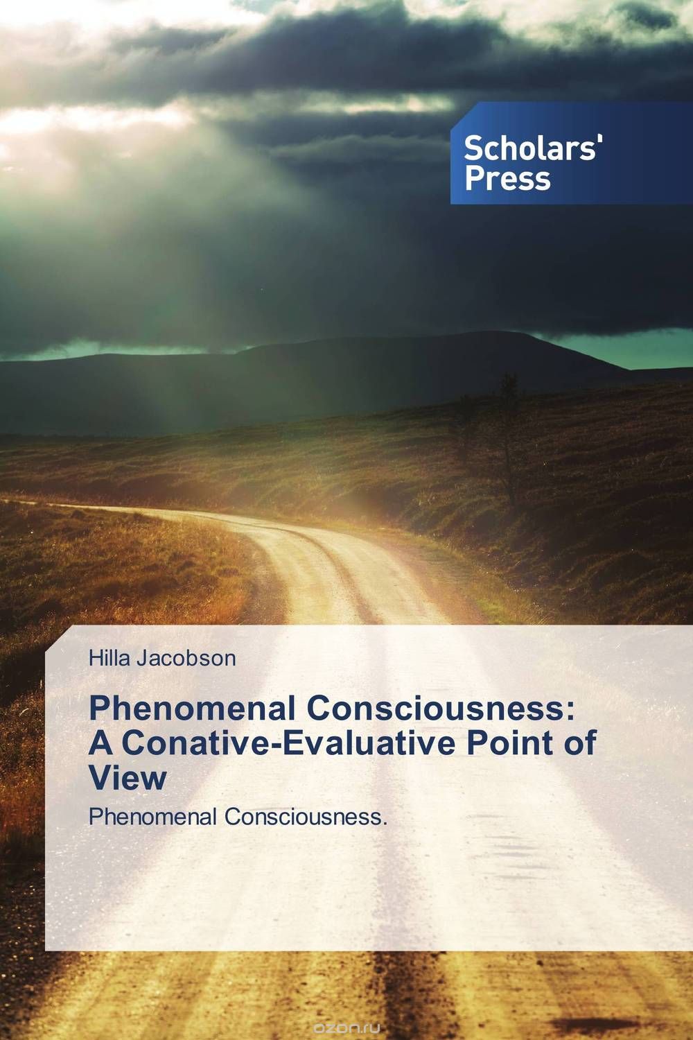 Phenomenal Consciousness:  A Conative-Evaluative Point of View