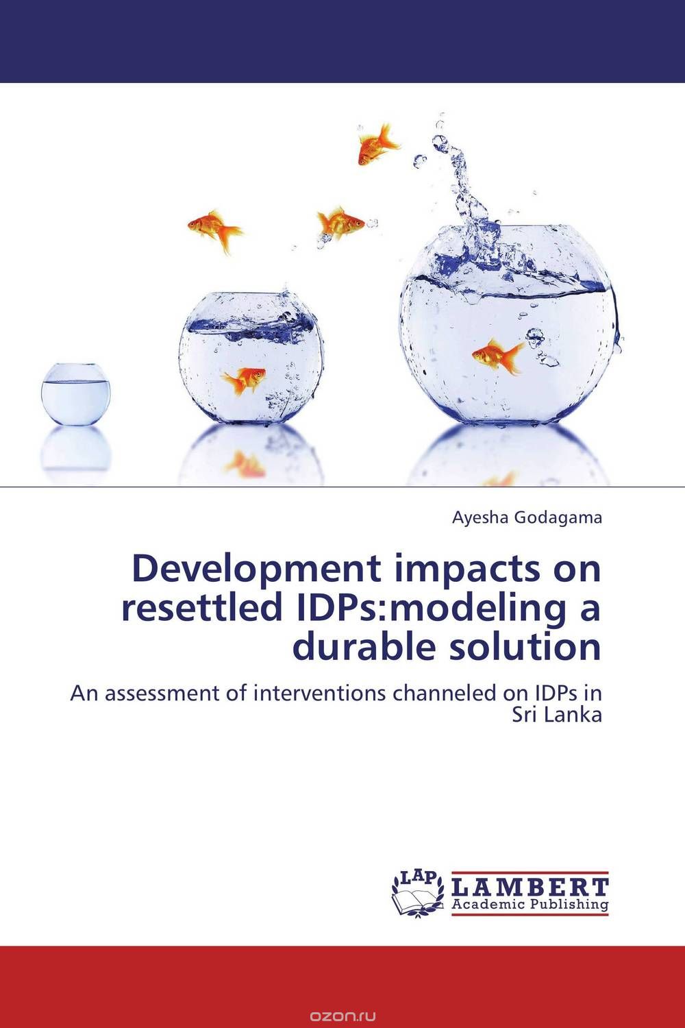 Development impacts on resettled IDPs:modeling a durable solution