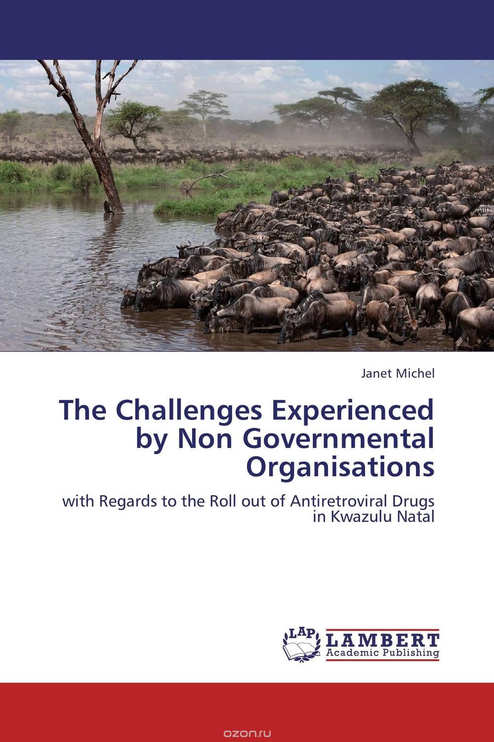 Скачать книгу "The Challenges Experienced by Non Governmental Organisations"