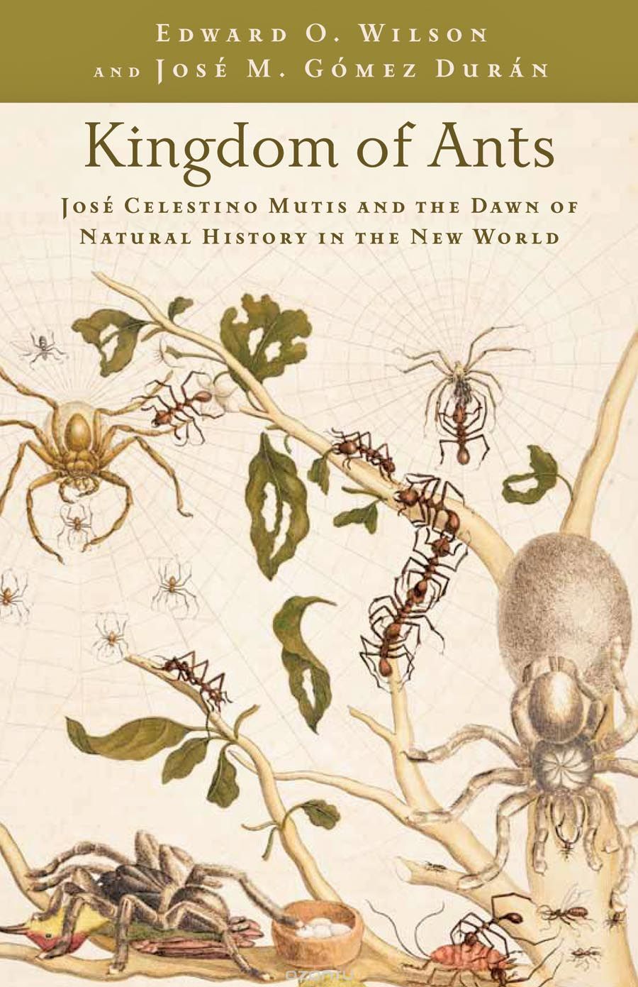 Kingdom Of Ants – Jose Celestino Mutis and the Dawn of Natural History in the New World