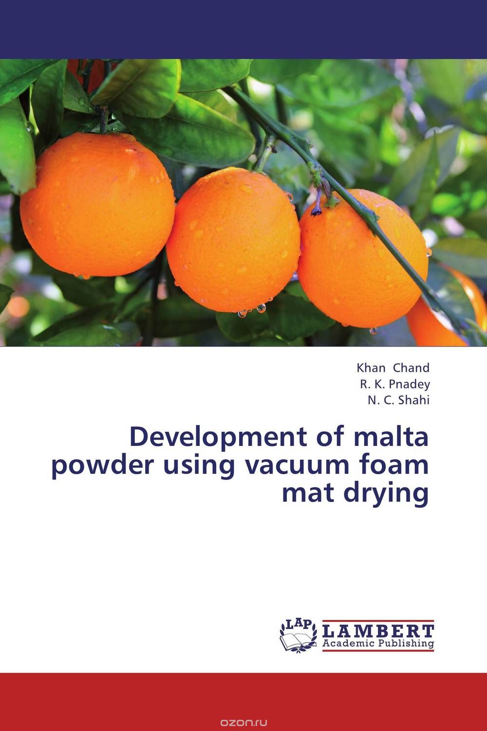 Скачать книгу "Development of malta powder using vacuum foam mat drying"