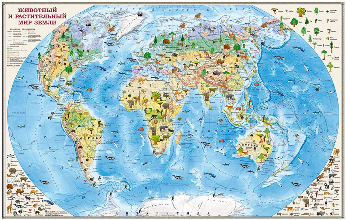 Животный и растительный мир Земли. Карта