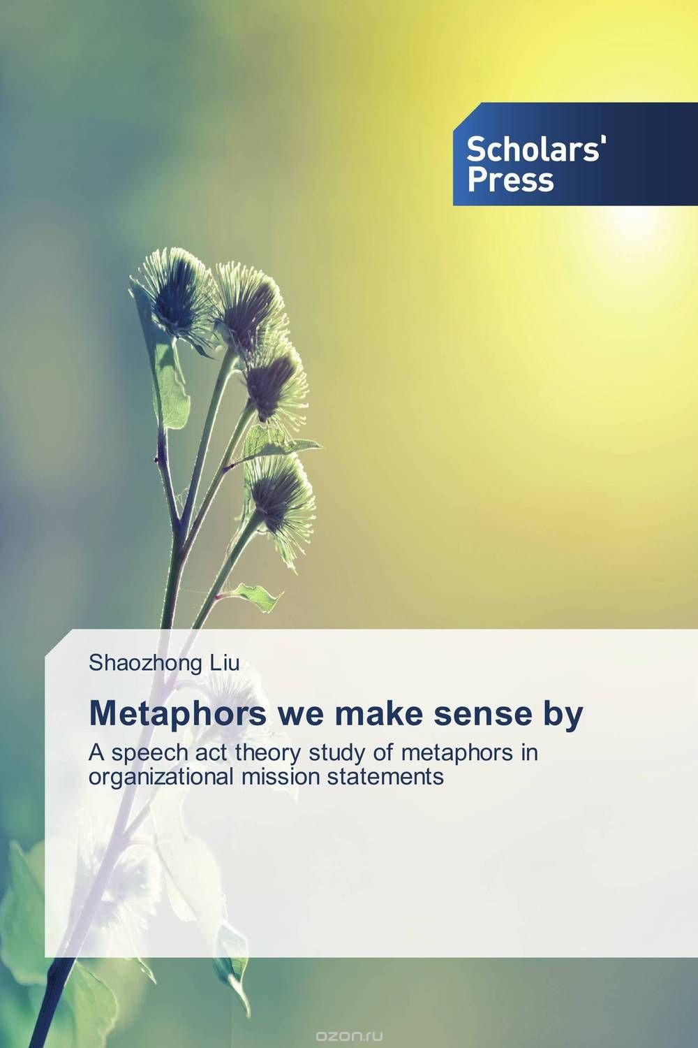 Metaphors we make sense by
