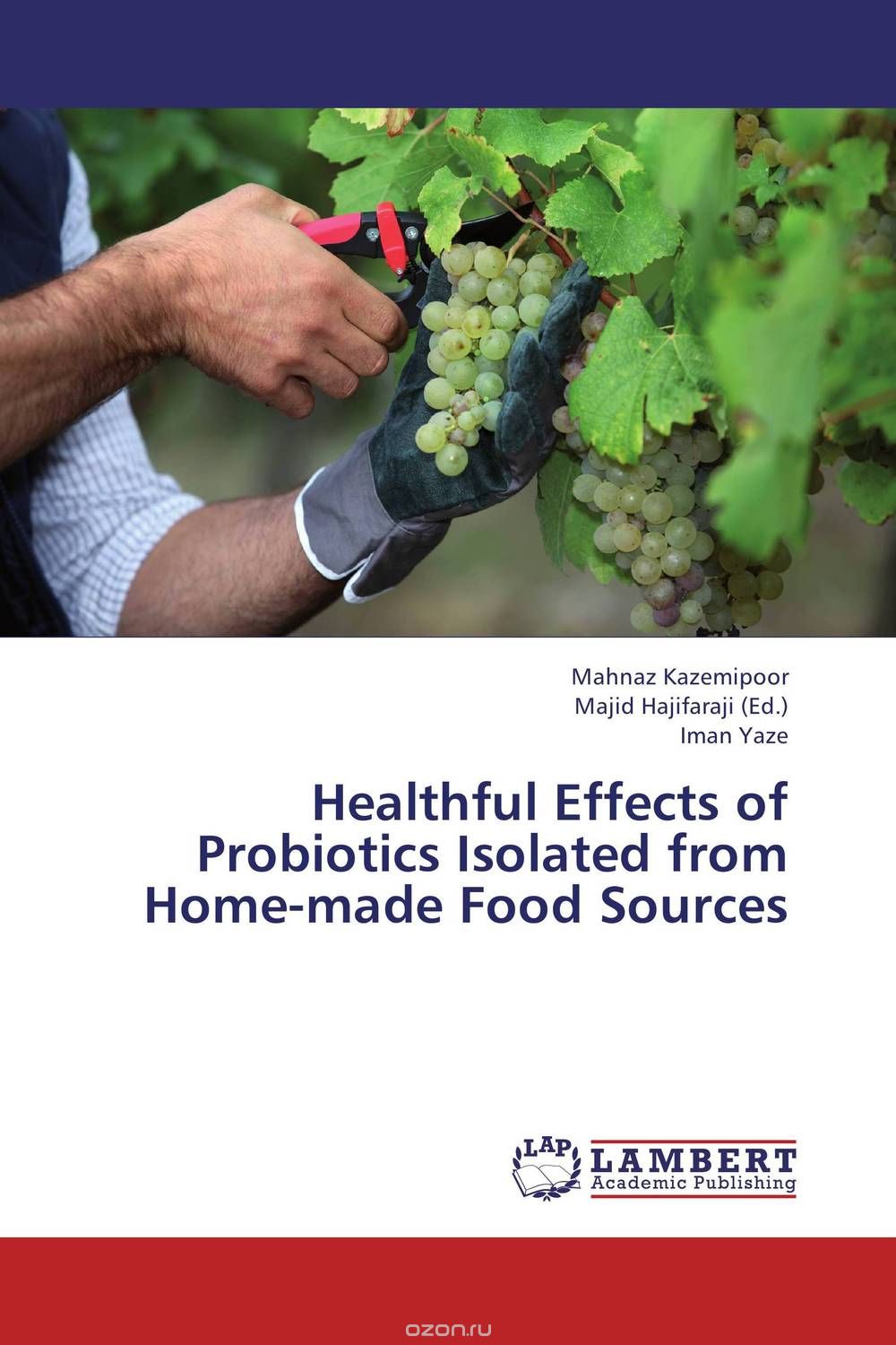 Скачать книгу "Healthful Effects of Probiotics Isolated from Home-made Food Sources"