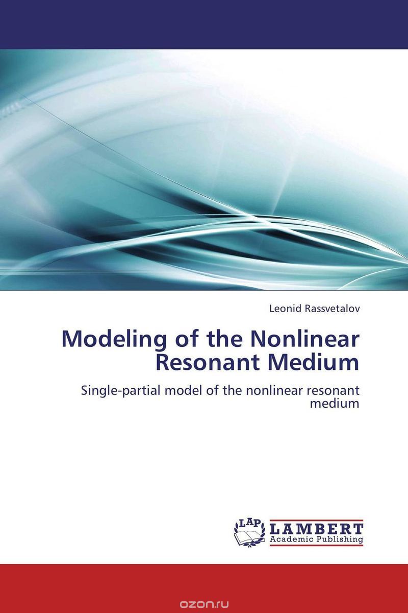 Modeling of the Nonlinear Resonant Medium