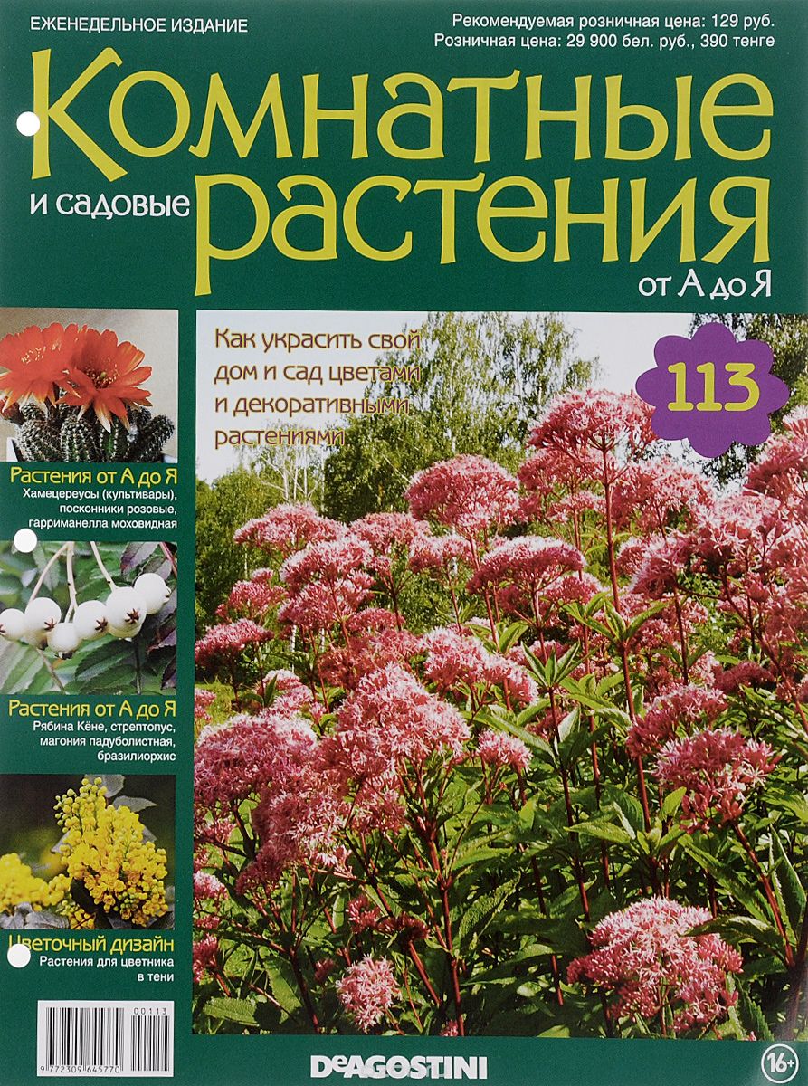 Журнал "Комнатные и садовые растения. От А до Я" №113