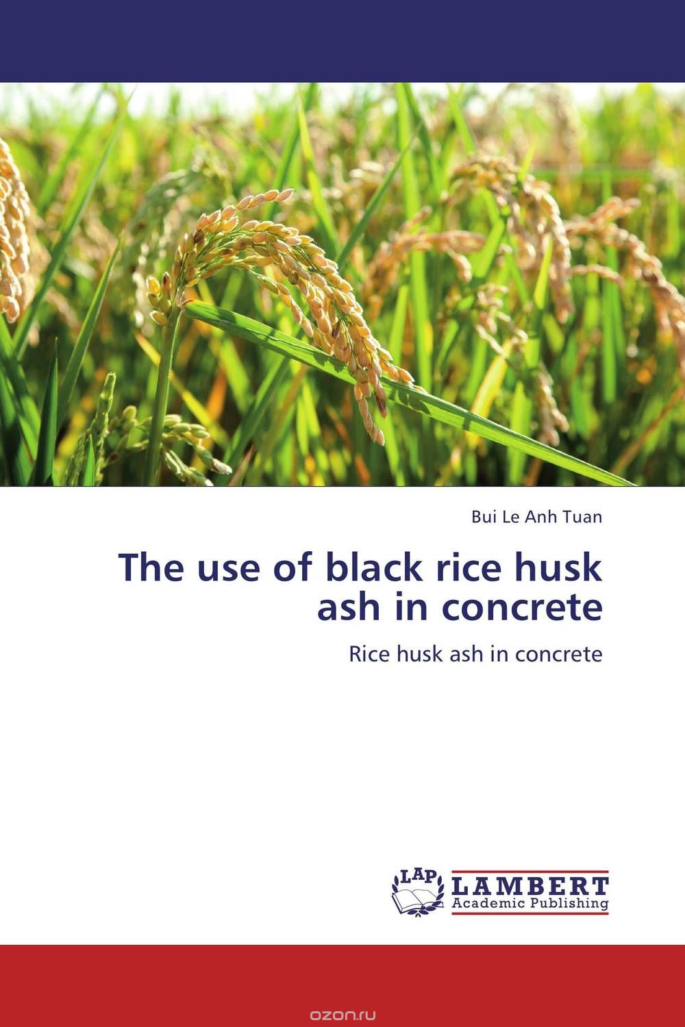 The use of black rice husk ash in concrete