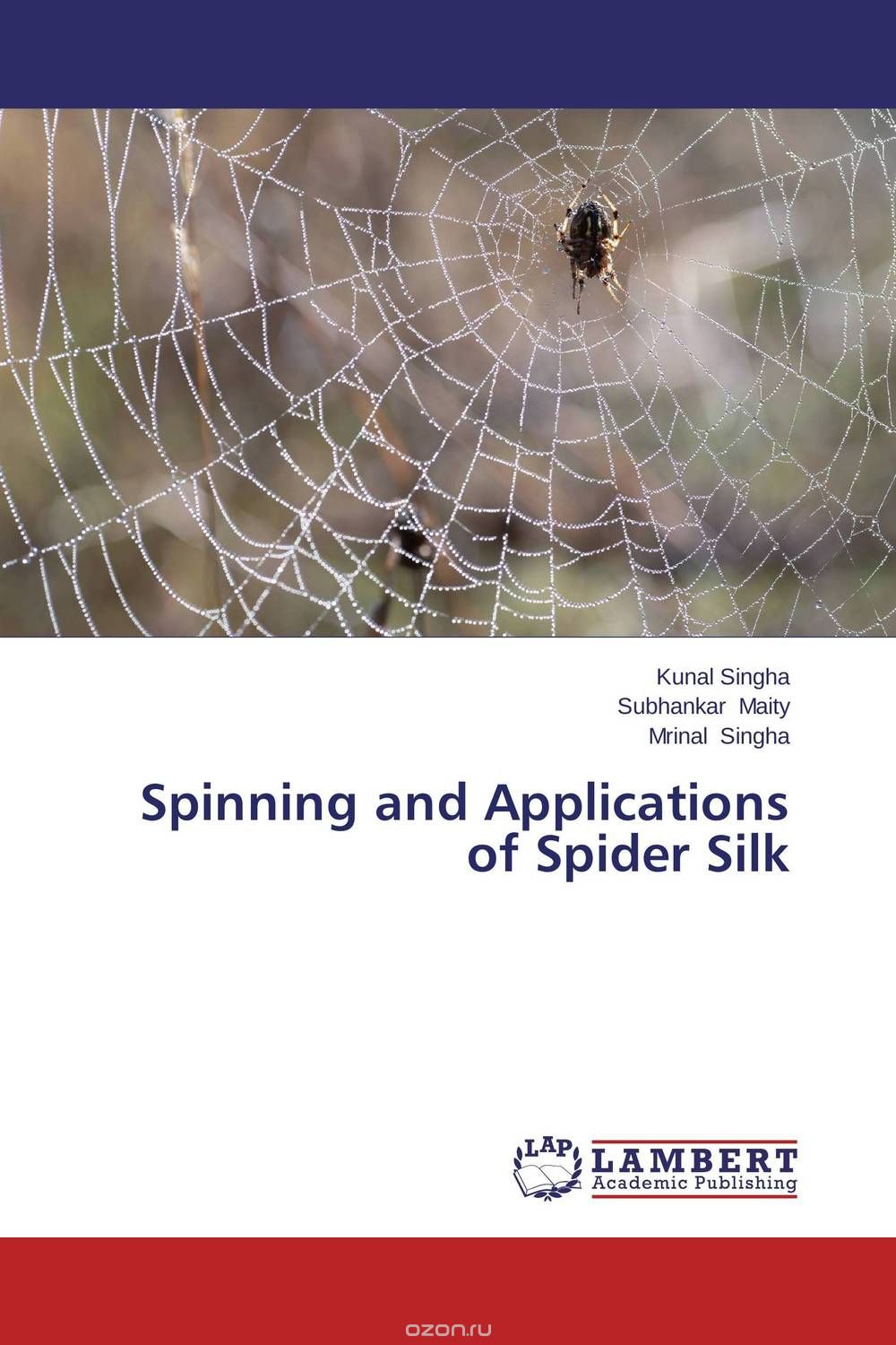 Скачать книгу "Spinning and Applications of Spider Silk"