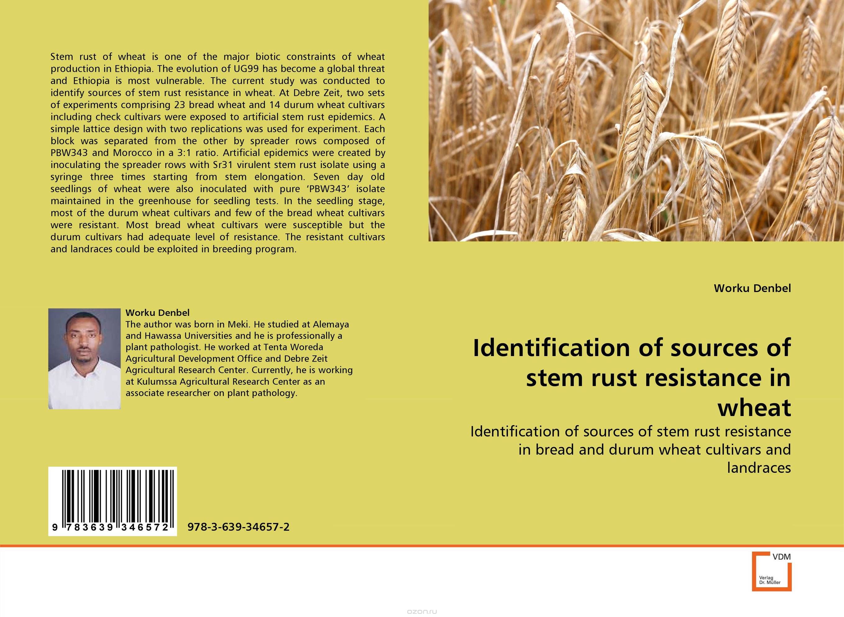 Identification of sources of stem rust resistance in wheat