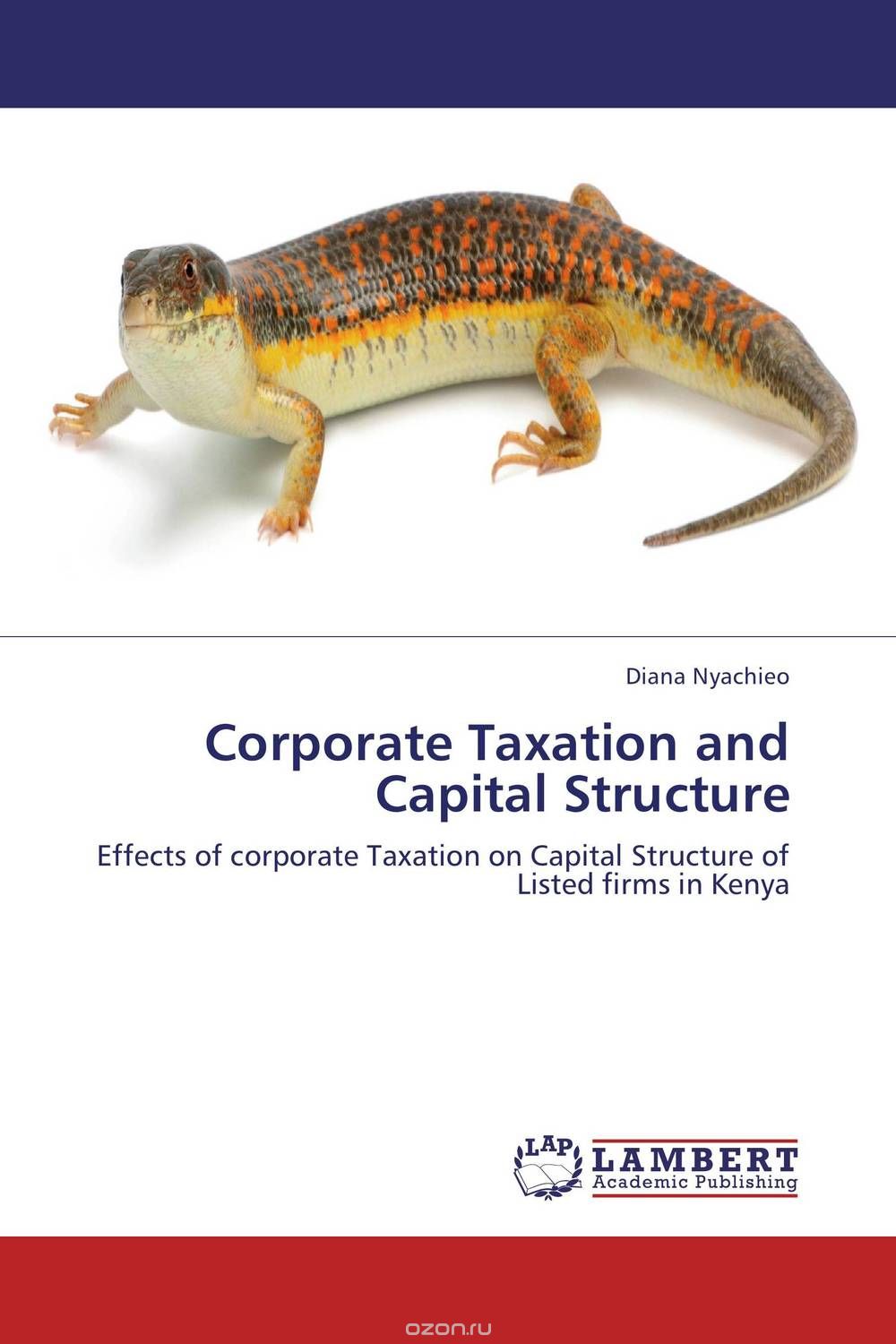 Corporate Taxation and Capital Structure