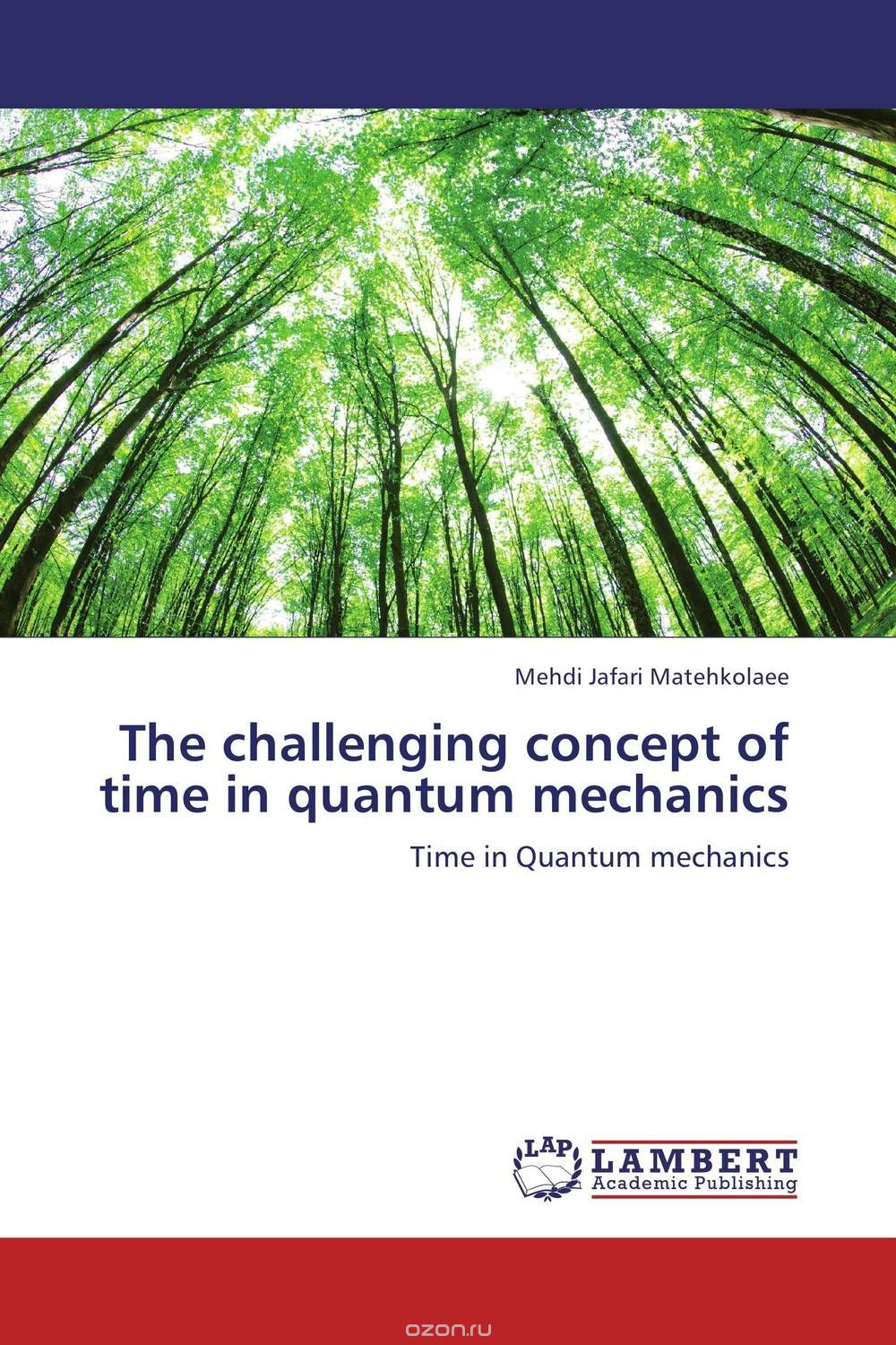 The challenging  concept of time in quantum mechanics