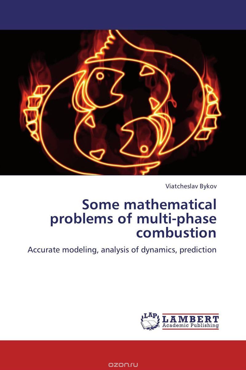 Скачать книгу "Some mathematical problems of multi-phase combustion"