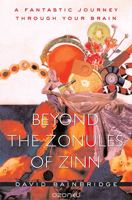 Beyond the Zonules of Zinn – A Fantastic Journey Through Your Brain