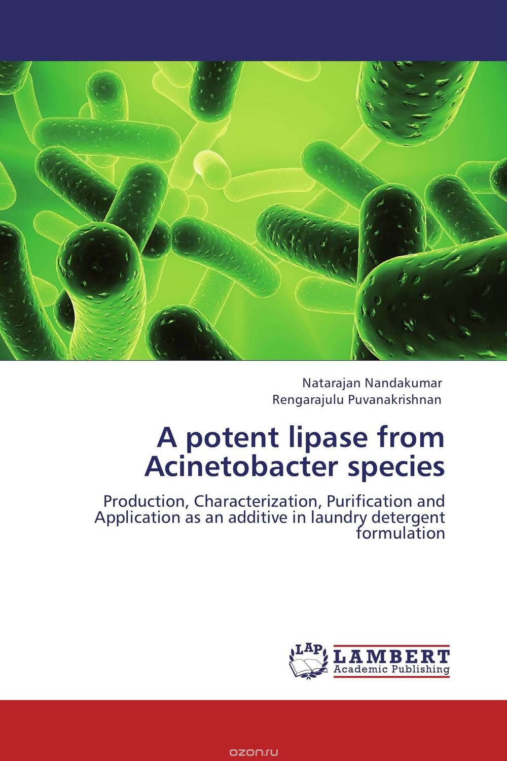 Скачать книгу "A potent lipase from Acinetobacter species"