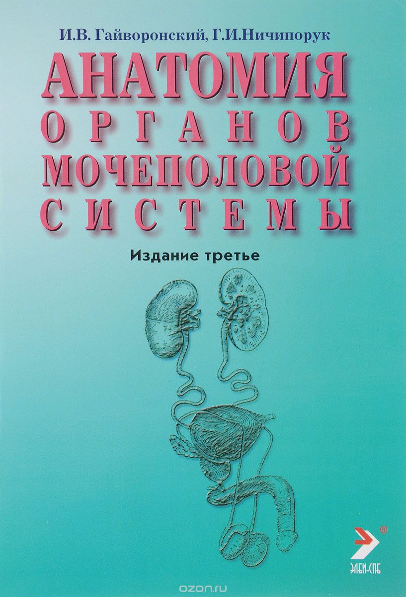 Анатомия органов мочеполовой системы, И.В. Гайворонский, Г.И. Ничипорук