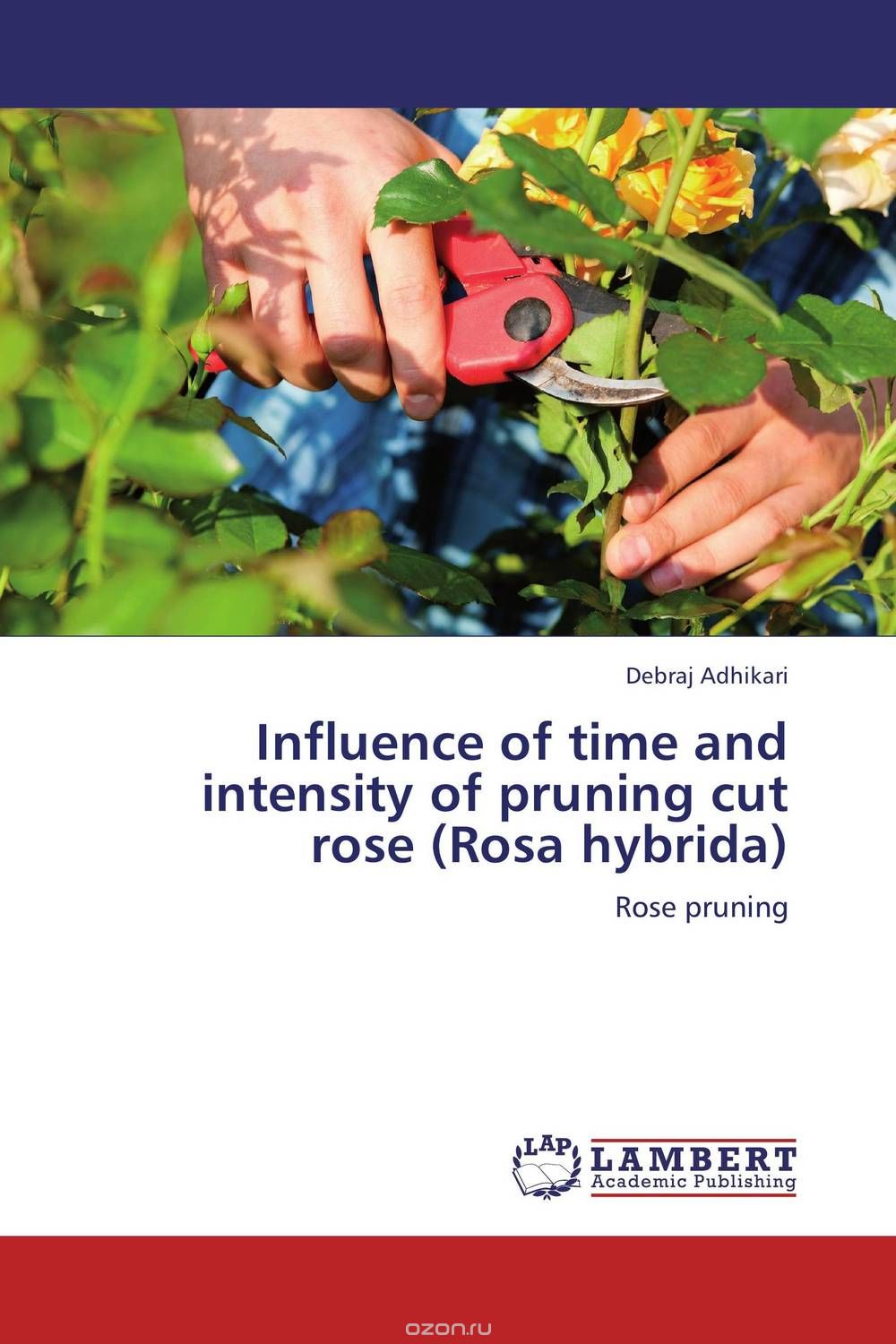 Influence of time and intensity of pruning cut rose  (Rosa hybrida)