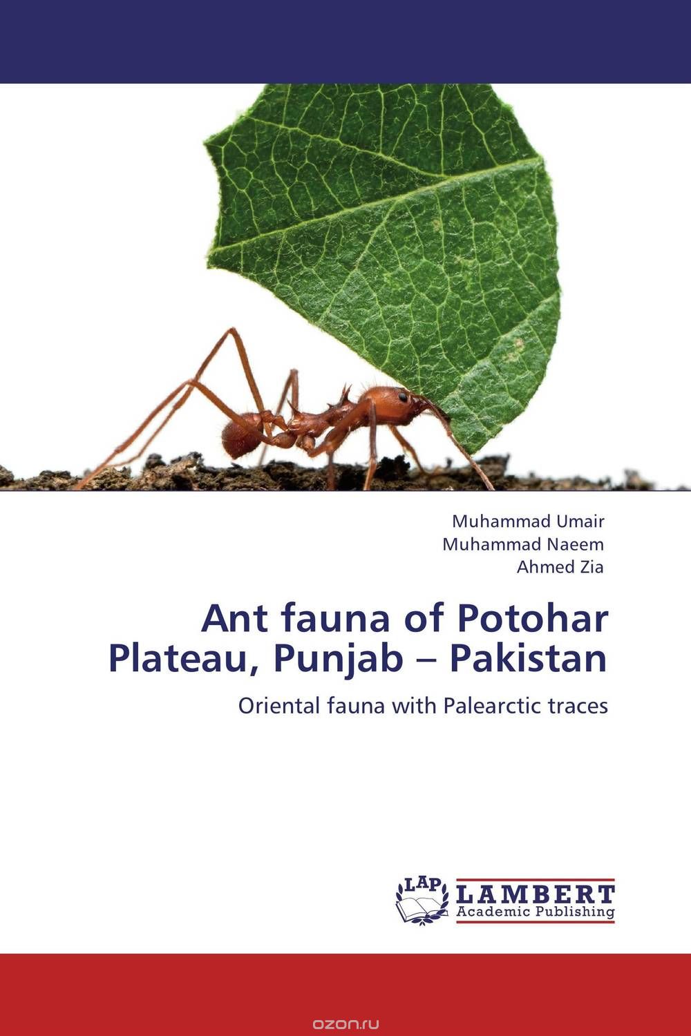 Скачать книгу "Ant fauna of Potohar Plateau, Punjab – Pakistan"