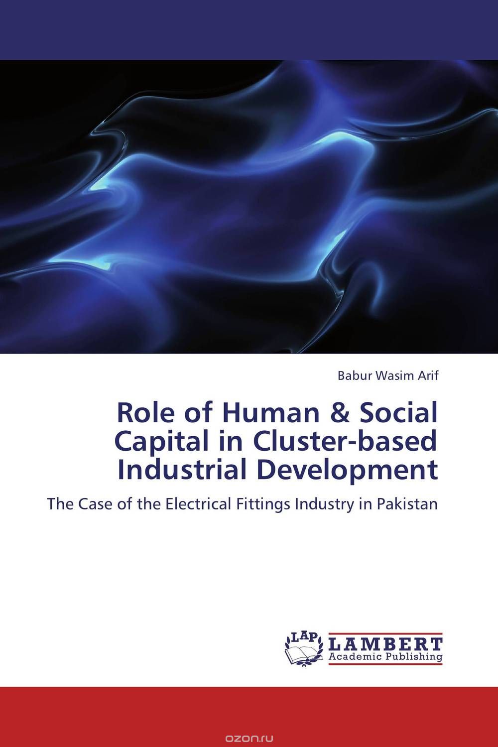 Role of Human & Social Capital in Cluster-based Industrial Development