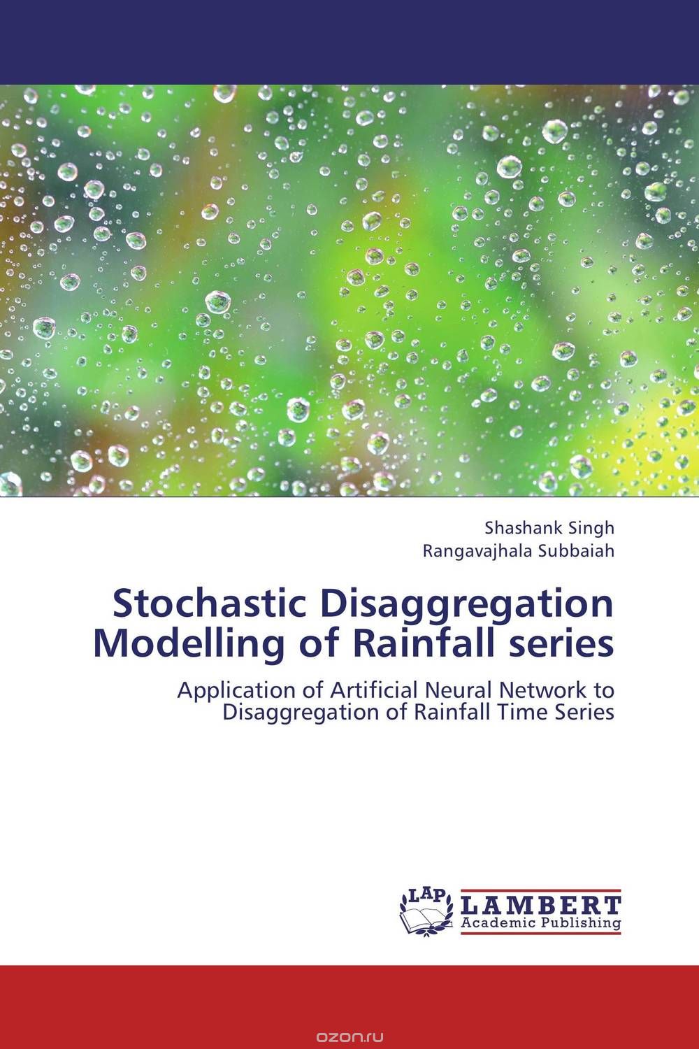 Stochastic Disaggregation Modelling of Rainfall series