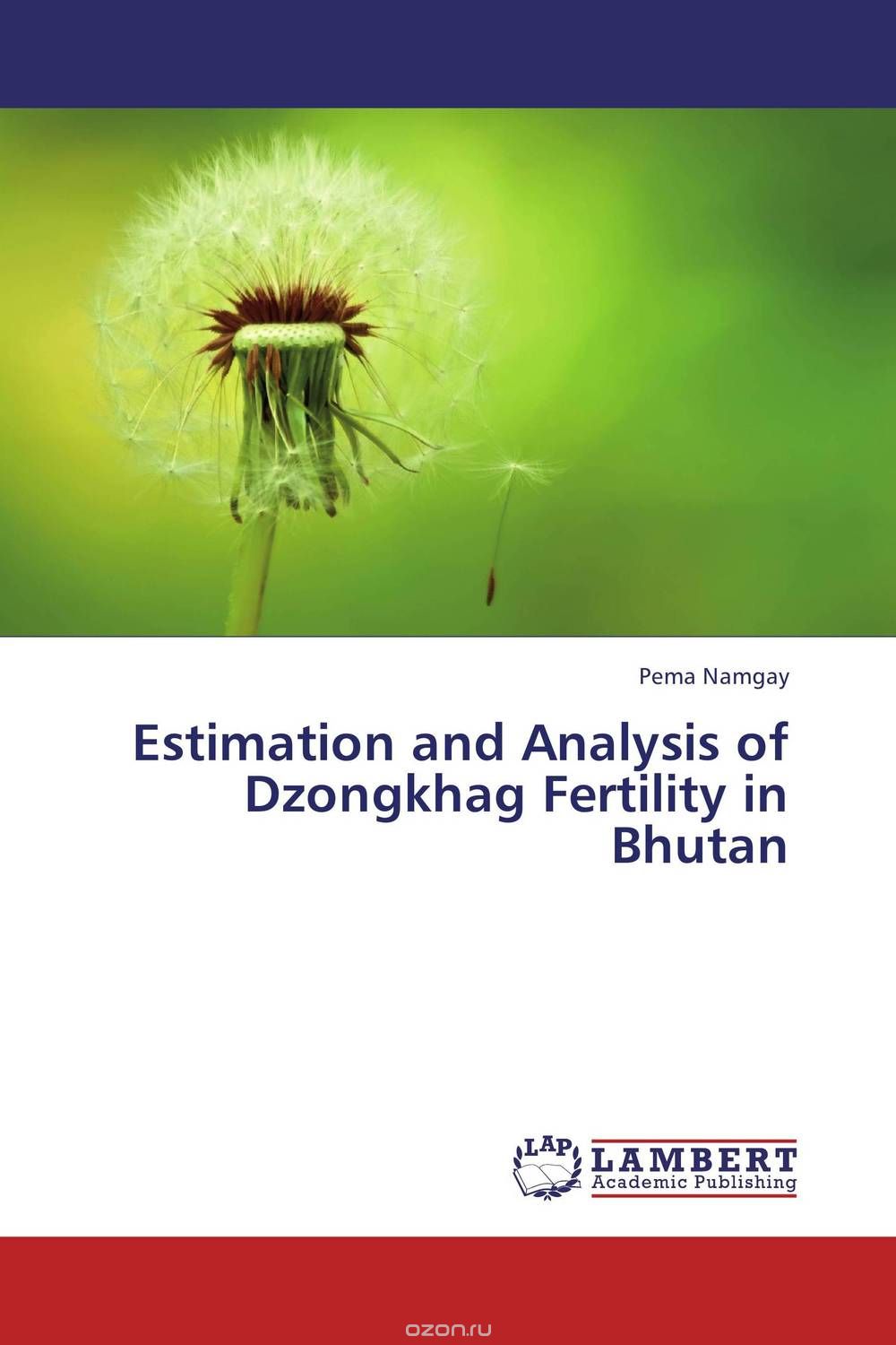 Estimation and Analysis of Dzongkhag Fertility in Bhutan
