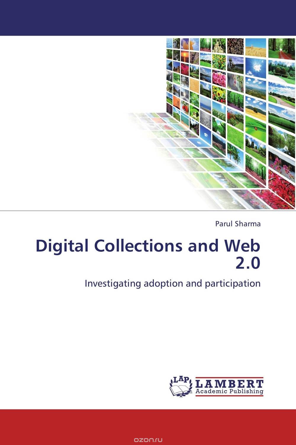 Digital Collections and Web 2.0